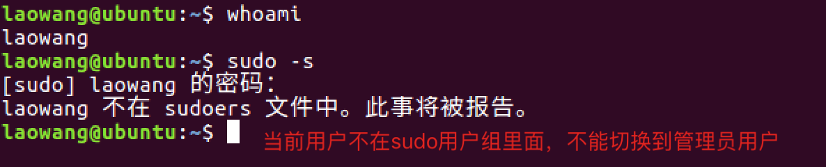 sudo-s问题